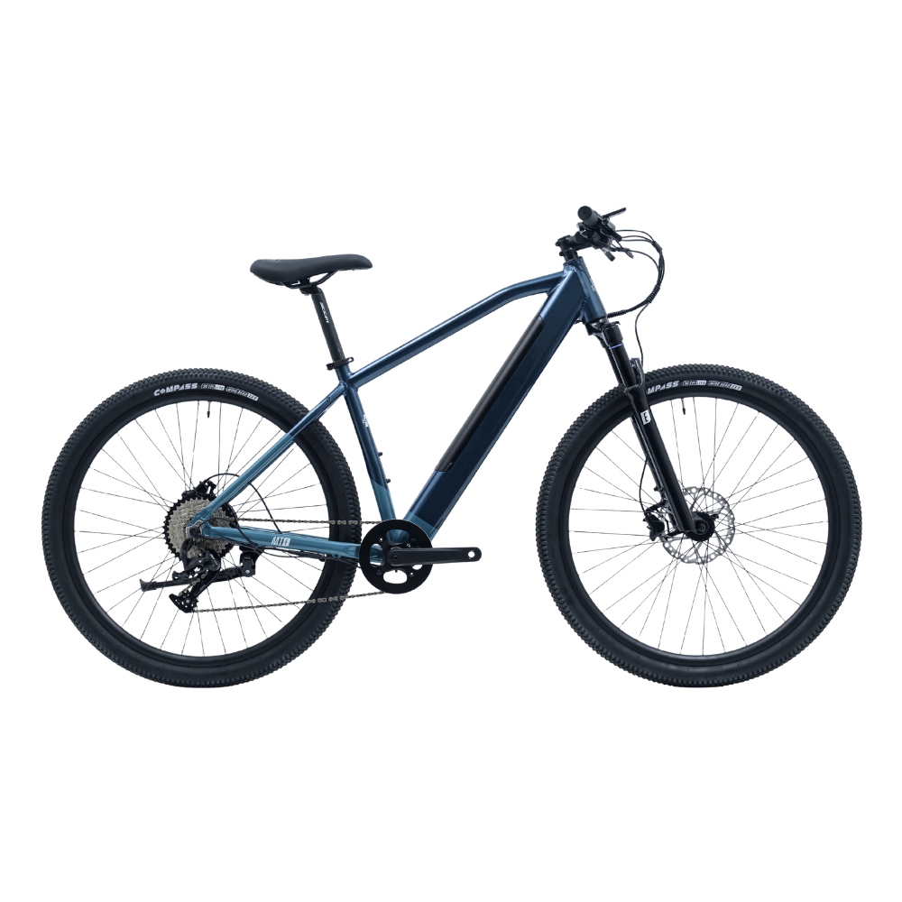 Avalanche Electric Bike MTe 29" 2025