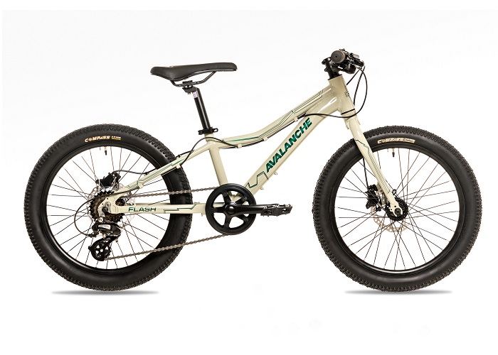 Avalanche 20" Flash Boys Disc 2024