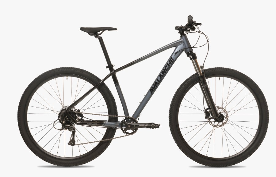 Avalanche 29" Reflex Sport Dark Silver 2024