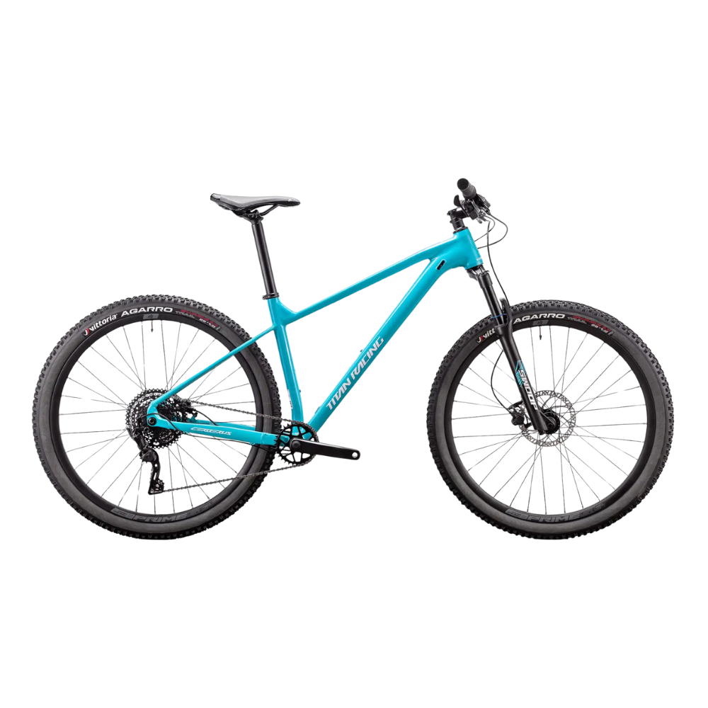 Titan Racing 29" Cerberus Cruz 2025
