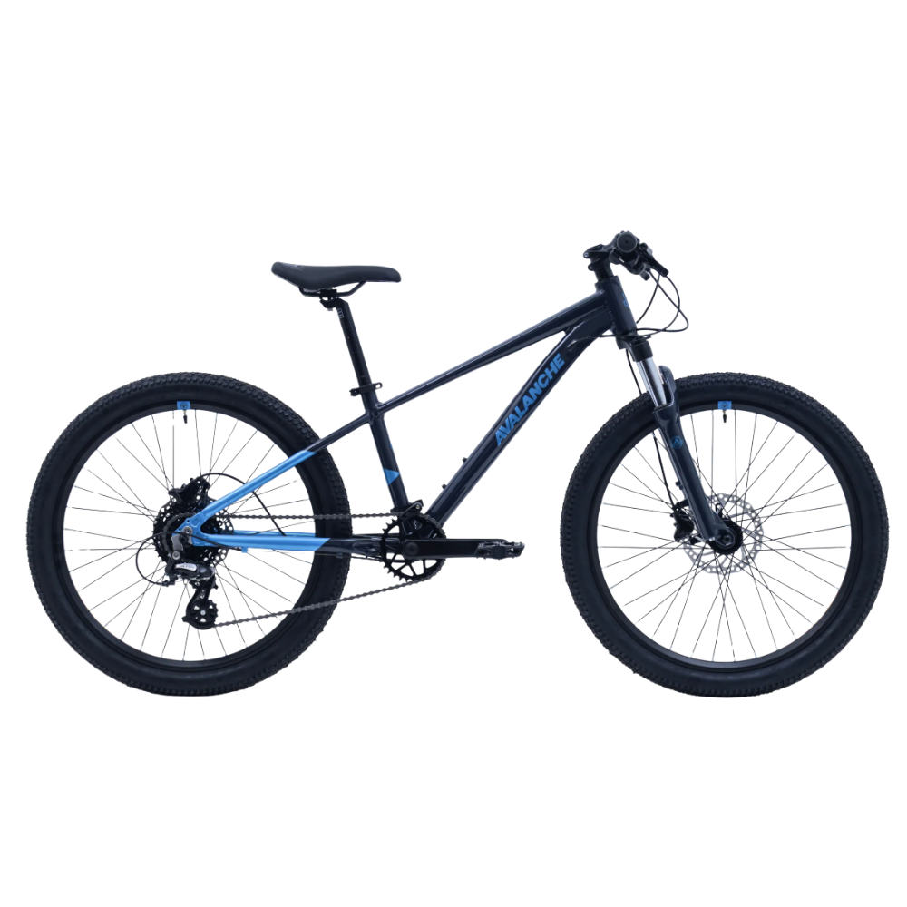 Avalanche 24" Ignite Disc 2025