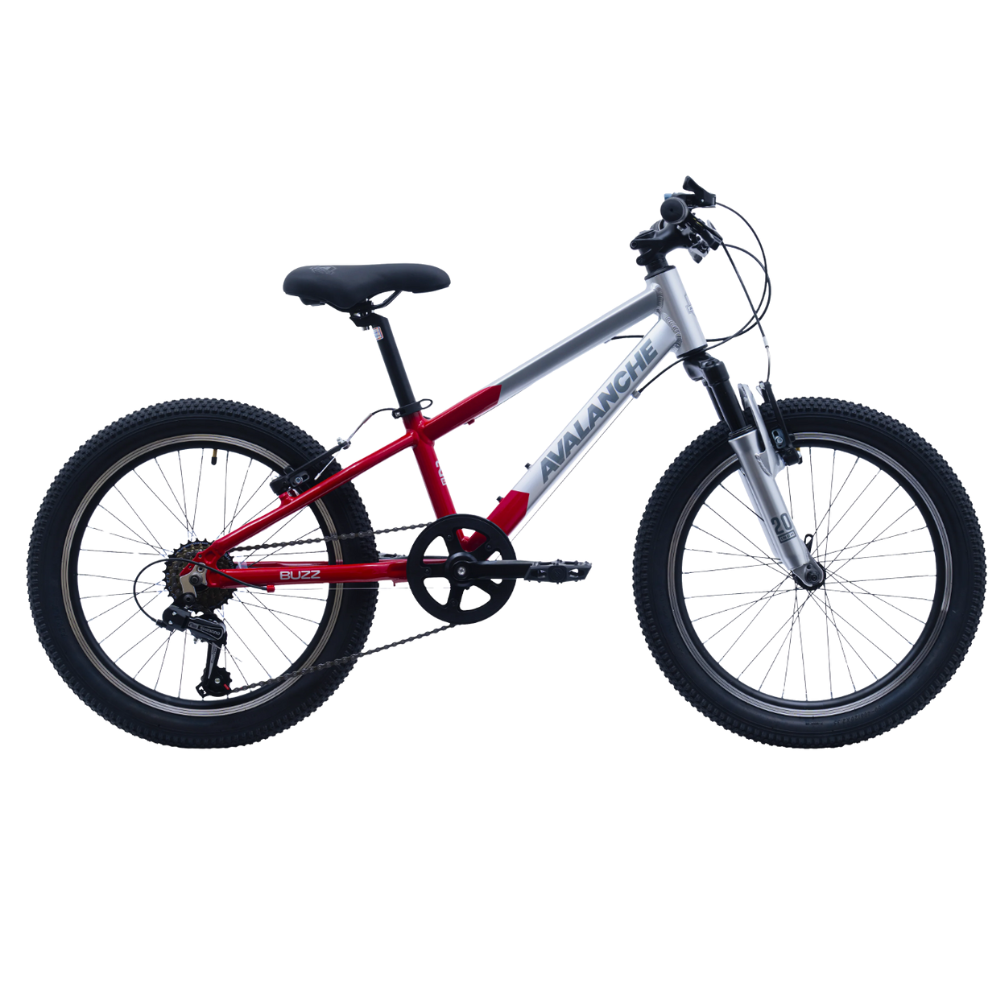 Avalanche 20" Buzz Silver/Red 2025