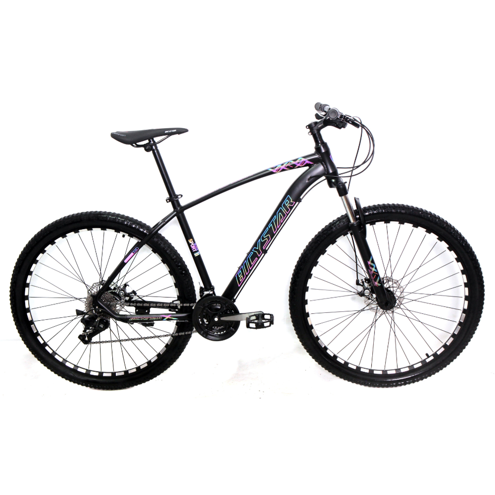 Bicystar 29" 2025 Disc Brakes