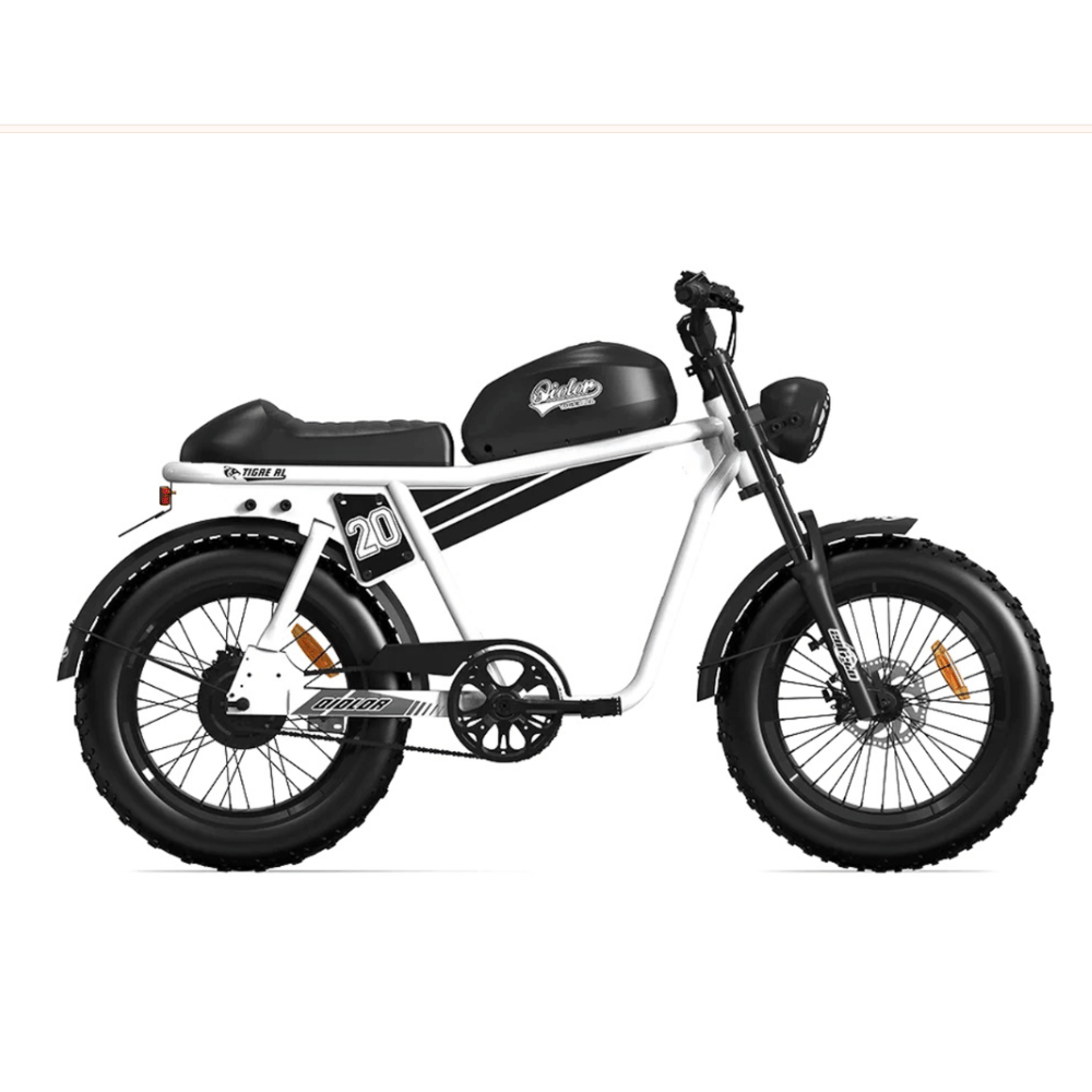 QIOLOR Tiger RL retro café racer electric bike with a 750W rear hub motor, 624Wh removable battery, hydraulic disc brakes, front suspension, and 20 x 4.0-inch fat tyres for commuting and leisure riding.