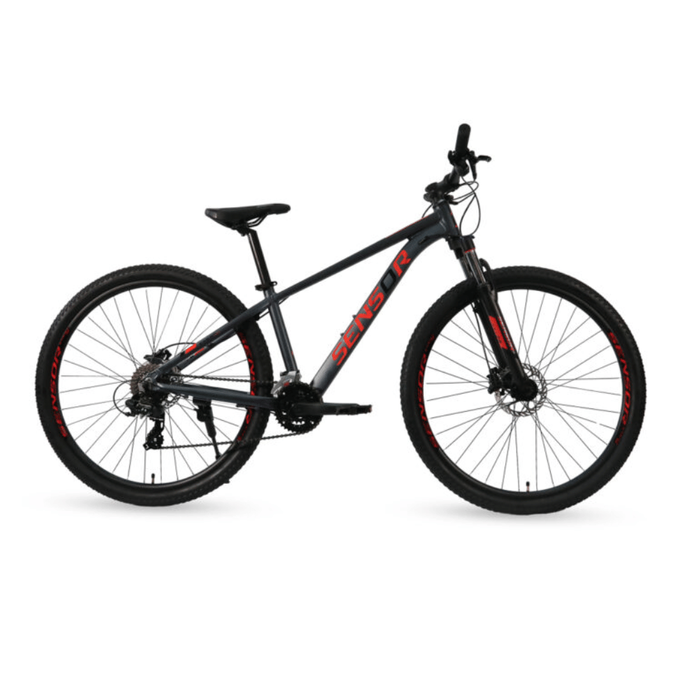 Sensor 29" Exert Sport 2026