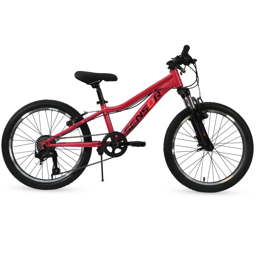 Sensor 20" Luna 2027